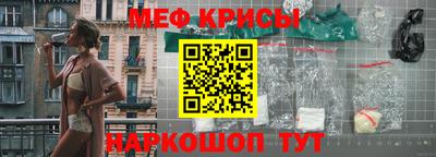 СК Кингисепп