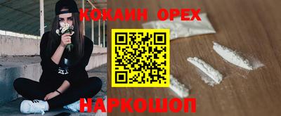 СК Кингисепп