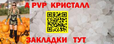 СК Кингисепп