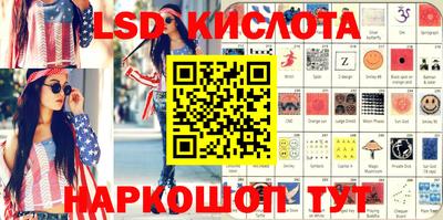 СК Кингисепп