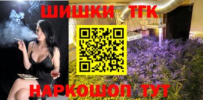СК Кингисепп