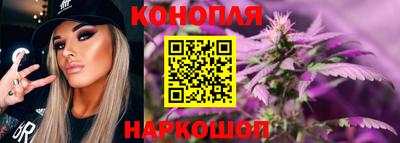 СК Кингисепп