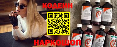СК Кингисепп